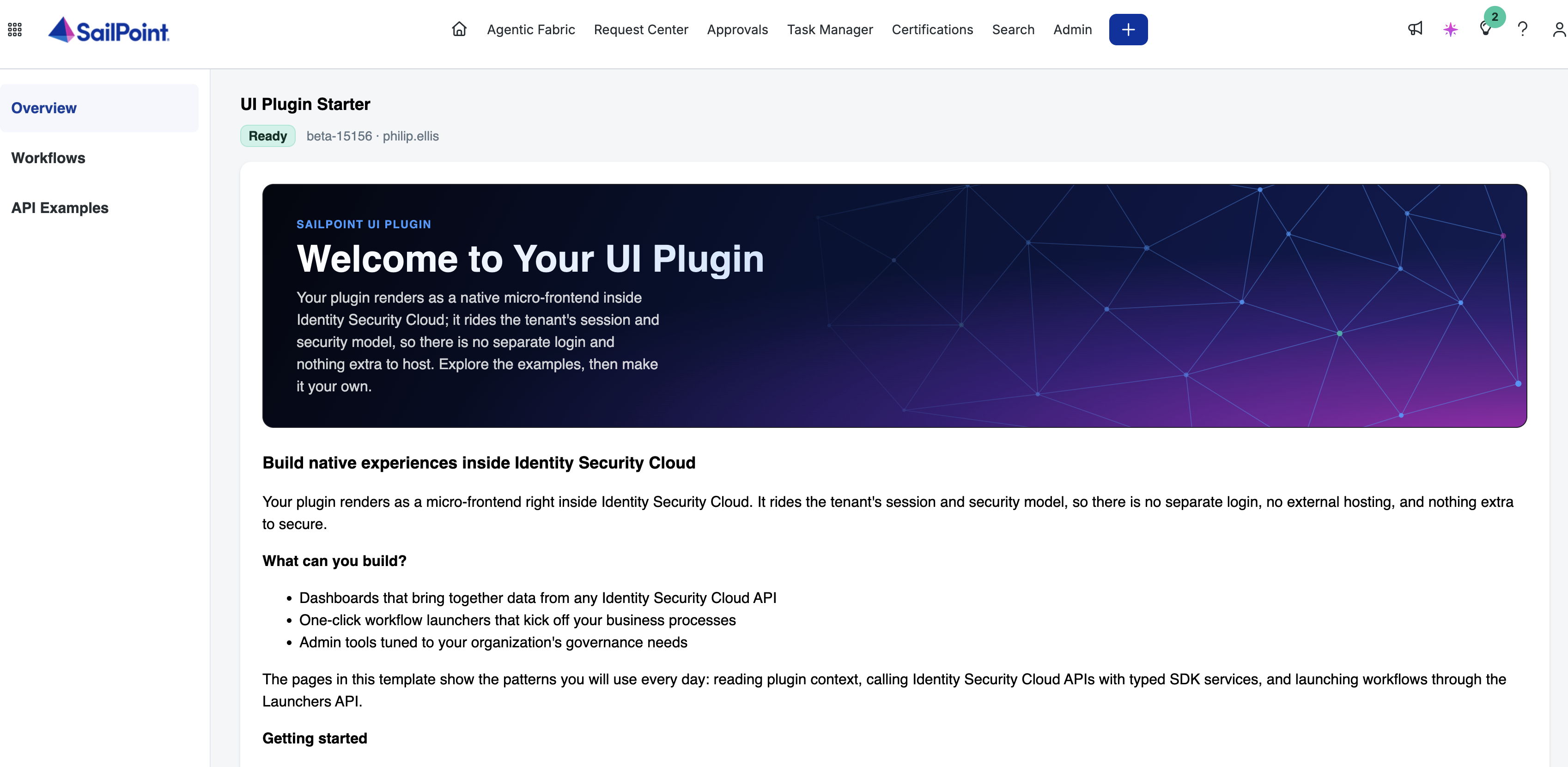 The deployed plugin rendered in SailPoint Identity Security, served from the uploaded asset bundle